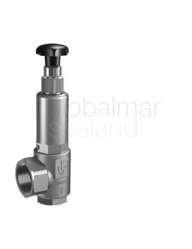 valve-overflow-s.steel,-s.steel-spring-#453bgfo-din-15---