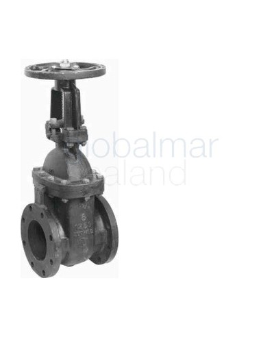 gate-valve-ansi-125-cast-iron,-bronze-trim-flange-1800-2-1/2"---