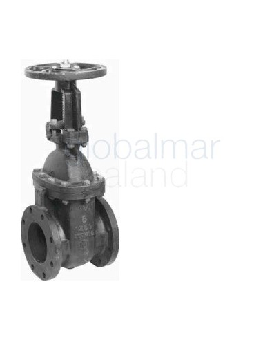 gate-valve-ansi-125-cast-iron,-bronze-trim-flanged-#1800-6"---