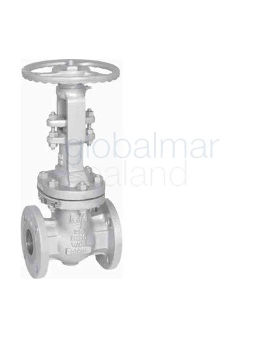 gate-valve-ansi-150-carbon-stl,-s.steel-trim-flanged-#1850-12"---