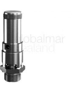 valve-safety-s.steel-#410sgk,-din-fkm-seal-dn15---