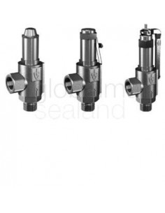 valve-safety-s.steel-#461tfo,-din-0.5-70-bar-dn10---