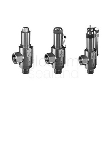 valve-safety-s.steel-#461tfo,-din-0.5-70-bar-dn10---
