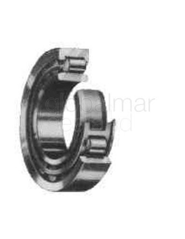 roller-bearing-n-205---