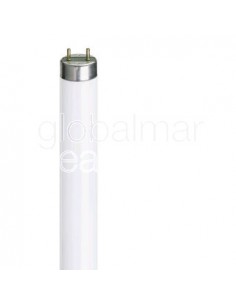 lamp-fluorescent-cool-white,-fl-10w-10w-25.5x330mm