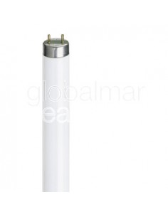 calex-fluo-tube-15w/10.0-daylight-"rapid-start"-diam.26x437mm