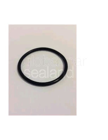 anillo-de-guarnicion-62x3-nbr-70shor-karcher-ref.--9.080-426.0