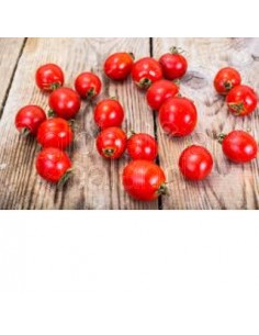 tomate-cherry-rojo-fresco