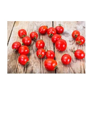 tomate-cherry-rojo-fresco