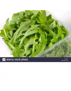 arugola/rucula-fresca