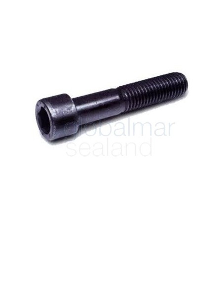 torn.h.din-912-8.8-8x40-pavonado