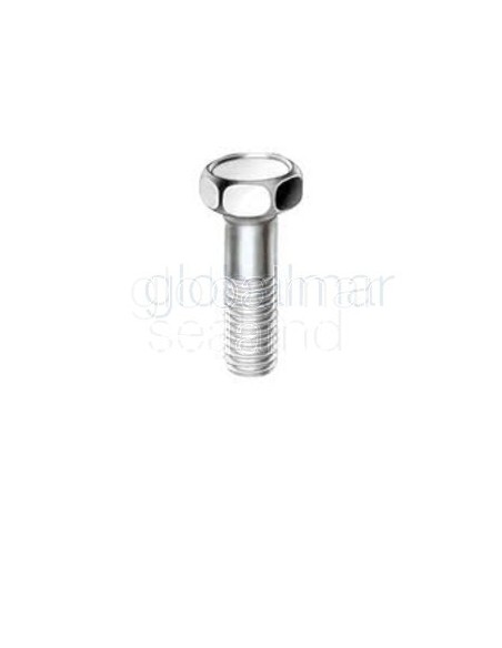 tornillo-h.zincado-d.931-8.8-14x70