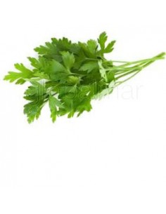 perejil-fresco-manojo