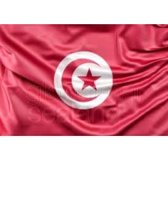 bandera-túnez-100x70