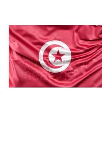 bandera-túnez-100x70