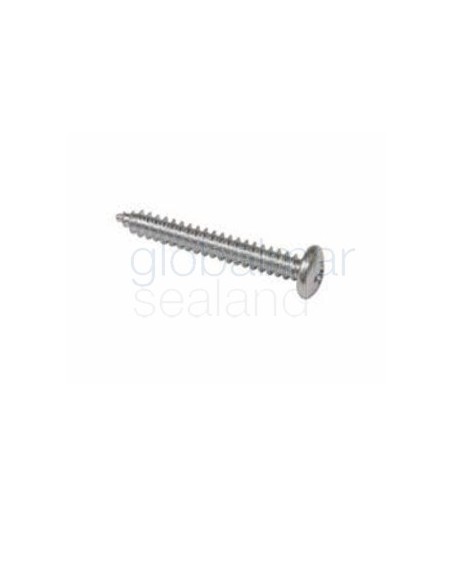 tornillo-inox-a2-d-7981-5.5x25
