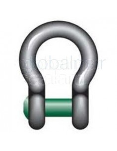 grilletes-lira-con-cabeza-embutida-g-4169-de-6.5-tons