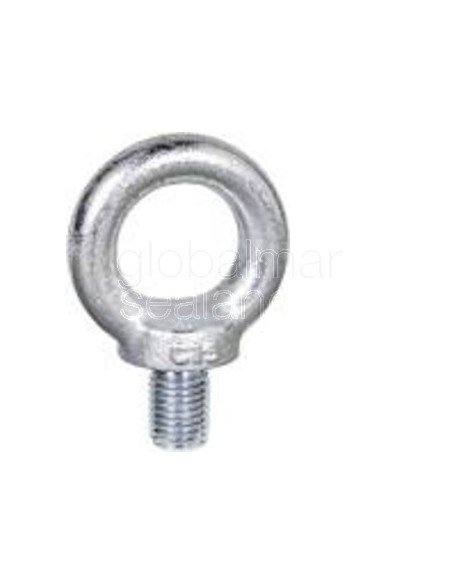 cáncamo-galv-din-580-m---20