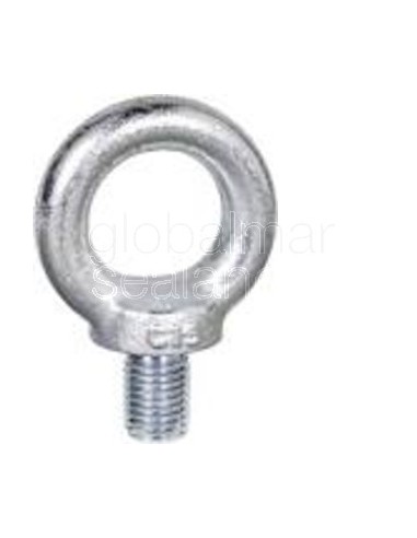 cáncamo-galv-din-580-m---12