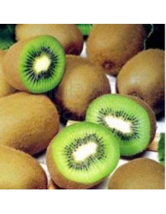 kg.-kiwis-frescos