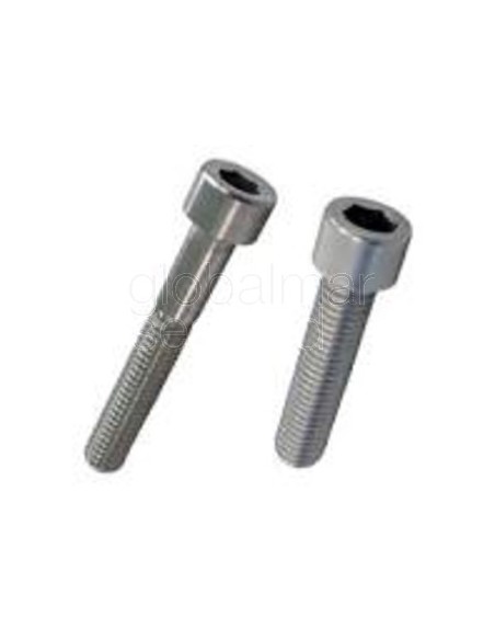 tornillo-inox.-a4-din-912-m-6x100