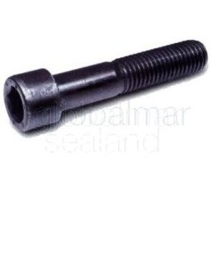 torn.-h.din-912-8.8-12x60-pavonado