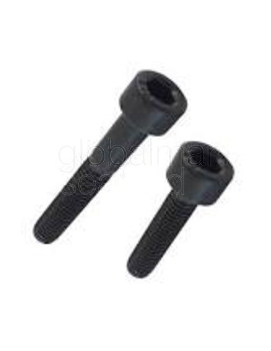 torn.h.din-912-8.8-8x40-pavonado