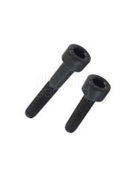 torn.h.din-912-8.8-10x30-pavonado