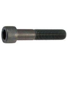 torn.h.din-912-8.8--24x160-pavonado