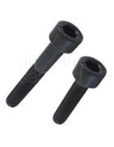 torn.h.din-912-8.8--24x160-pavonado 2