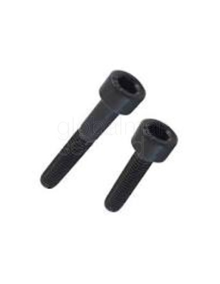 torn.h.din.912-8.8-m-16x200-pavonado