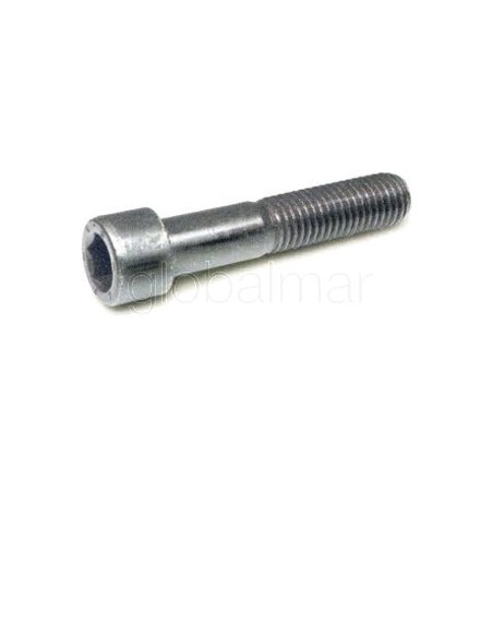 tornillo-din-912-8.8-zincado-m-24x160