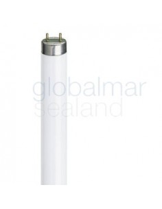 lamp-fluorescent-daylight-fl-40ss/37-37w--28x1198mm