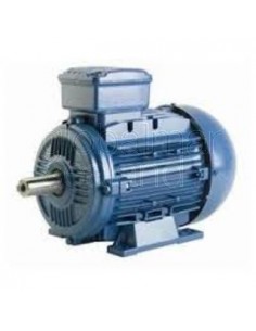 motor-electrico-woods--ct-932170---3gp-13082487