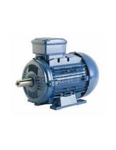 motor-electrico-woods--ct-932170---3gp-13082487