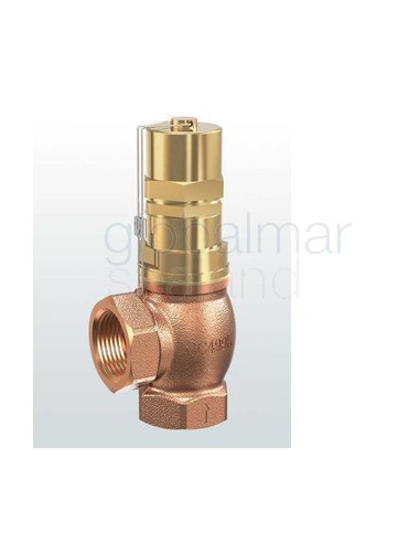 overflow-valve,-red-brass,-g3/4-inch,-impa-code-75-69-73
