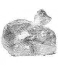 spare-bag-capacity-150lbs,-for-garbage-compactor---