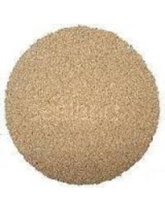 softblast-12/3-cascara-nuez