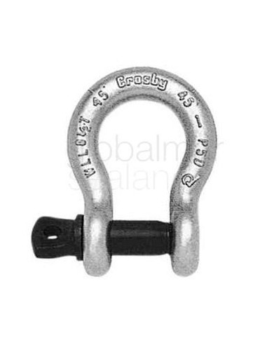 shackle-anchor-forged-crosby,-screw-pin-g-209-galv-1/4"---